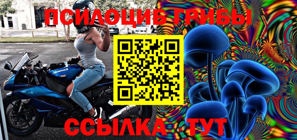 Псилоцибиновые грибы GOLDEN TEACHER Ноябрьск